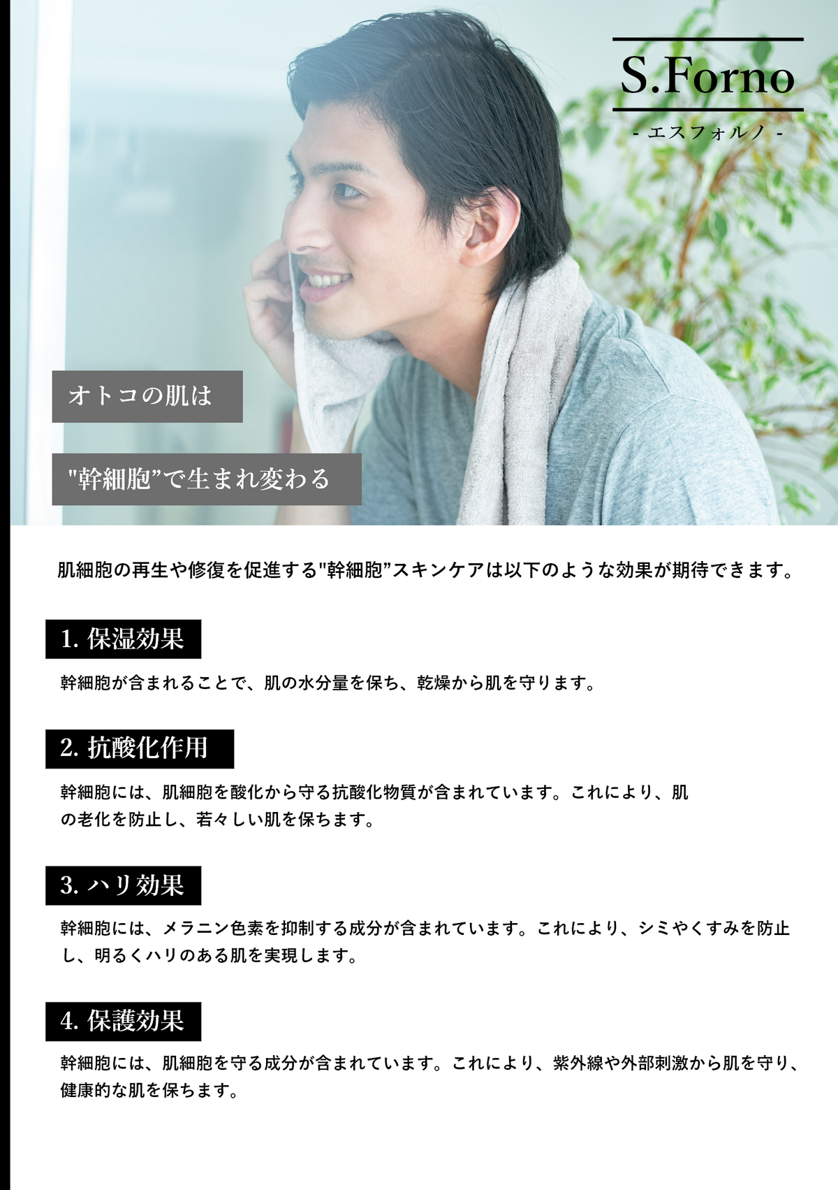 S.Forno The Face Lotion & Cream (化粧水 ＆ 乳液)